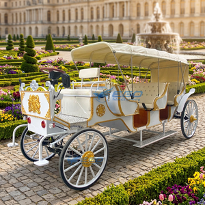 Calèche de tourisme élégante, qualité supérieure, prix abordable, calèche classique, transport spécial - Product Image 1