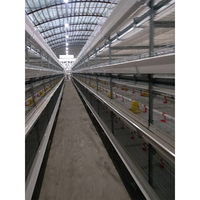 Cages de pontage automatiques en acier galvanisé de type H pour poules pondeuses – Équipement avicole entièrement automatique et flexible