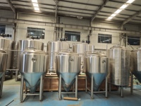 Système de fermentation CASSMAN Microbrewery 5 BBL, capacité de 500 L, garantie de 2 ans pour la fermentation d'alcool, de vin et de bière artisanale