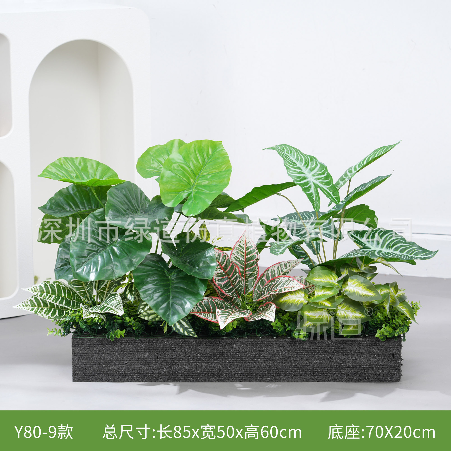 hc-Y80-9 convient aux jardinières de 80 cm