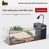 2025 nouveau réservoir de flux de bureau moderne filtre latéral en verre Ultra-clair auto-circulant écologique aménagement paysager écologique petit