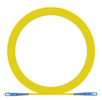 Kabel Patch Fiber Optik Beat Price SC FC LC ST APC UPC G652D G657A FTTA GSM TCP dengan Jaket PVC/LSZH, Garansi 3 Tahun