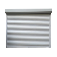 Porte à enroulement électrique en alliage d'aluminium, design moderne personnalisable, pour magasins, coupe-vent, antivol