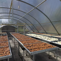 Séchoir solaire poly tunnel, serre de séchage solaire pour poissons et fruits