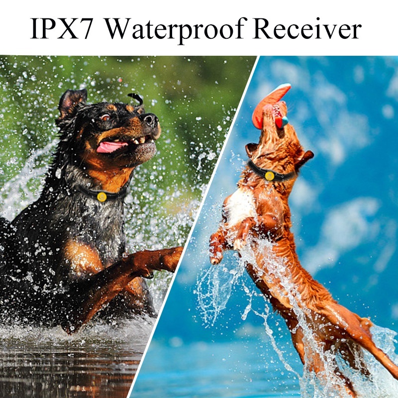 Le plus récent cuir imperméable de collier de chien d'Ipx7, fabrication en gros de feux clignotants collier de bipeur de chien