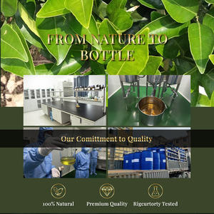 Wholesale Organic Pure Natural Petitgrain Leaf Essential <b>Oil</b> Bitter Orange <b>Oil</b> for Aromatherapy <b>Perfume</b> - Product Image 6