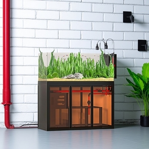 Industrial Style Aquascape <strong>Aquarium</strong> Side Overflow Sump Filter Tank Low Maintenance Rectangular for Living Open View <strong>River</strong> Stream - Product Image 6