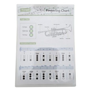 Tabla de Acordes para Trompeta, Guía de Referencia de Notas y Dedilados para Instrumentos Musicales, para Clases <span class=keywords><strong>en</strong></span> Casa o Pequeños Grupos - Product Image 2