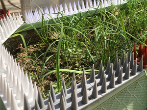 Emballage personnalisé en gros : Lot de 12 grappes anti-pigeons empilables pour entrepôts, bâtiments commerciaux et distributeurs - Product Image 5