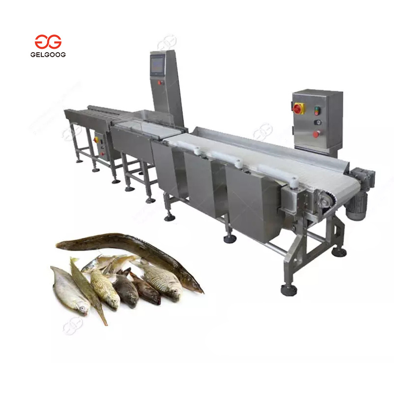 Efficient Seafood Sorting Grading Machines for Industry