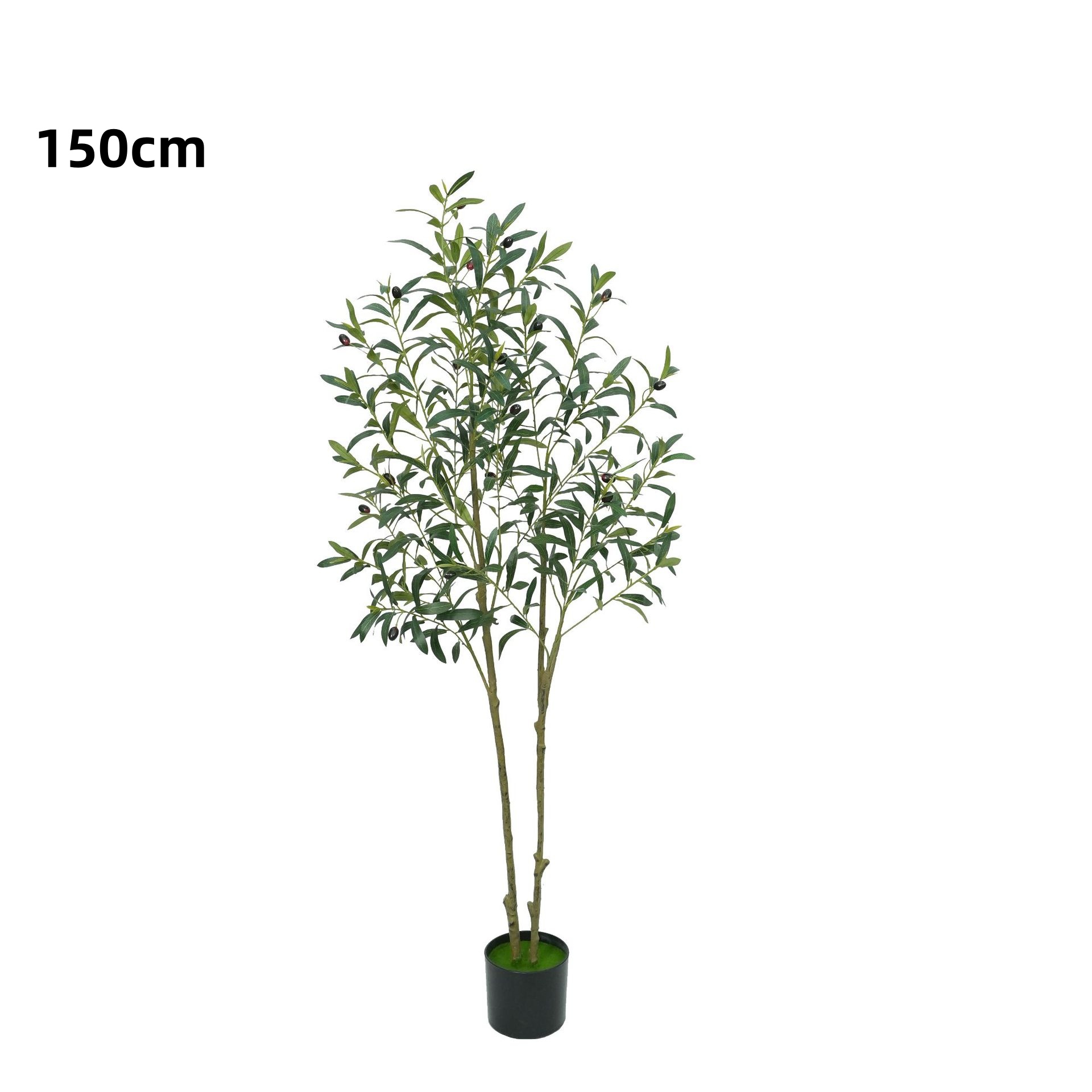 150 cm