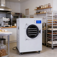Mini Liofilizador Doméstico de 6-8KG/Batch, Máquina Liofilizadora Económica para Uso Casero