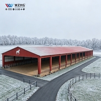 Grand hangar équestre en acier à faible coût, préfabriqué, pour l'entraînement équestre