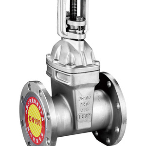 Guangdong Magnesium Special Gate Valve 304 Stainless Steel Flanged Soft Seal Double Gate Water Use - Product Image 2