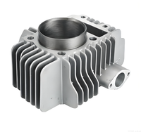 Bloc-cylindre de moto fourni par l'usine, compatible YX150 YX160 150/160cc, accessoires pour motos tout-terrain Kaya Xmotos Apollo