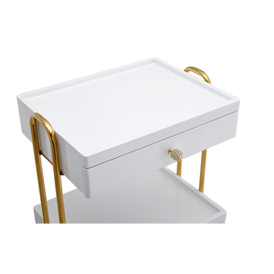 Nieuwe hoogwaardige beautytool salon <span class=keywords><strong>trolley</strong></span>, rollende multifunctionele gouden frame beauty <span class=keywords><strong>trolley</strong></span> met dubbele opbergruimte - Product Image 3