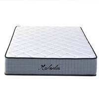 Matelas à ressorts Queen Firm Bonnell pour chambre d'hôtel Tissu matelassé respirant Conception anti-acariens Convertible pour appartement