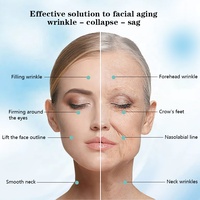 Patchs Microneedle Dissolvants au Collagène, Protéines de Soie d'Algues et Acide Hyaluronique pour le Visage, Effet Lifting, Anti-rides et Éclaircissant, ODM