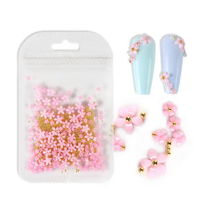 Adornos de <span class=keywords><strong>uñas</strong></span> de diseño 3d, Mini <span class=keywords><strong>flores</strong></span> acrílicas de resina decoradas, <span class=keywords><strong>flores</strong></span> <span class=keywords><strong>secas</strong></span> para <span class=keywords><strong>uñas</strong></span> - Product Image 5