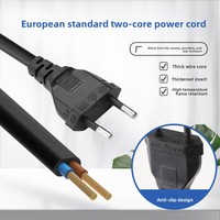 Cordon d'alimentation standard UE à deux tours, 2 conducteurs 0,75 mm, 5 m, fiche à deux broches, connexion à fils nus, classe 0