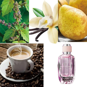 <span class=keywords><strong>Parfum</strong></span> de Qualité Supérieure Sexy Fille Floral Boisé Naturel Nuit <span class=keywords><strong>Sauvage</strong></span> Vente en Gros Personnalisé Unisexe Luxe <span class=keywords><strong>Original</strong></span> pour Femmes et Hommes - Product Image 4