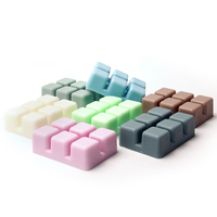 Fabricant de Cires Parfumées en Gros pour Marques Privées OEM – Cires de Soja Personnalisées avec Logo, Cubes de Cire Parfumés pour la Maison, Aromathérapie