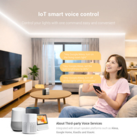 Contrôleur LED IoT monochrome SP536E SPI avec contrôle vocal via application Alexa Google Home Xiaoai Xiaodu, synchronisation musicale, DC5V-24V, garantie 3 ans