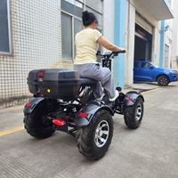Quad électrique longue portée 60V 60Ah 10kW de puissance de pointe RY-S4 avec suspension indépendante tout-terrain 4 roues pour la chasse et l'agriculture