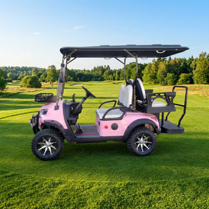 Voiturette de golf rose à 4 places, homologuée pour la route, entretien facile, pour les parcs, les attractions touristiques, les terrains de golf, les centres d'exposition - Product Image 5
