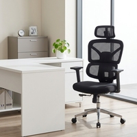 Chaise de bureau ergonomique moderne pivotante en maille avec support lombaire réglable, chaises de luxe, personnalisation d'usine de meubles
