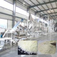 Xdx Fruit Banaan Kurkuma Knoflook Uien Cacaopoeder Verwerking Poeder Maken Machine Productielijn