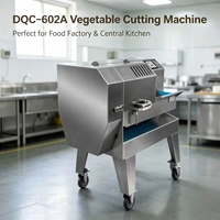 DQC-602A Commerciële Groente- en Vlees Snijmachine 1-60mm Verstelbare Snijder voor Restaurant en Voedselverwerkingsbedrijven