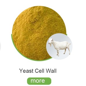 브루어스 효모 세포벽 다당류 saccharomyces cerevisiae 추출물 - Product Image 3