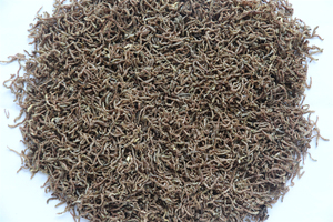 Прямые продажи от производителей новых высококачественных лиофилизированных кровяных червей корм 100% натурального белка для здоровья рыбьей кожи - Product Image 4