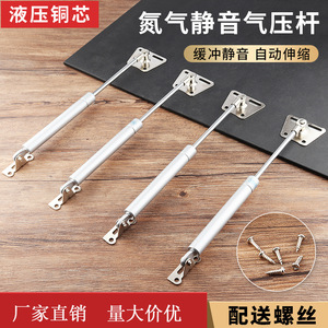 Tige de support pneumatique Asq-18 pour vérins de porte d'armoire - Product Image 3
