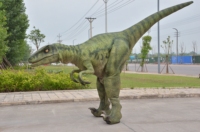   Costume de dinosaure fait main, haute technologie, grande taille, animatronique, modèle de dinosaure animatronique, mascotte