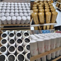 Filtre à carburant SPIN-ON FF5021 P550928 E1PZ9155B VS7331 DNP550928 25013273 B0501901AB pour pièces de moteur