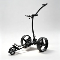Chariot de golf électrique et télécommandé acceptant les services de personnalisation OEM ODM pour les distributeurs professionnels de golf du monde entier