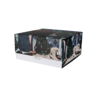 Grande boîte pliable de luxe personnalisée, impression couleur intégrale, boîte en carton rigide pliable, boîte cadeau avec fermeture magnétique