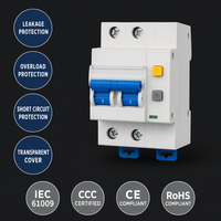 Wanbo-377 2P C16 400V RCBO avec couvercle transparent et bouton de réinitialisation pour la protection contre les fuites, les surcharges et les courts-circuits