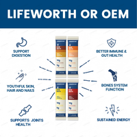 Poudre de protéines de bouillon d'os LIFEWORTH en sachets - 10g de protéines, 5g de peptides de collagène par portion - Fournisseur en gros OEM pour marque privée