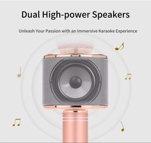 Micrófono de Karaoke Inalámbrico Recargable Aurora Sound P201 con Altavoz, Micrófono Bluetooth Portátil, Compatible con OEM/ODM - Product Image 6