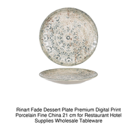 Fade Dessertteller Ø 21 cm Premium Feines Porzellan Digitaldruck Rinart Porzellan