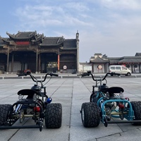Venta al por mayor de fábrica: Triciclo Go-Kart de 212cc y 4 tiempos con neumáticos de 5 pulgadas, 60 km/h, elegante kart de carreras para niños y adultos, kart de drift.