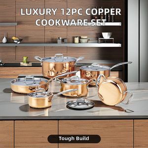 Juego de utensilios de cocina de cobre triple <span class=keywords><strong>AXA</strong></span> de 12 piezas listos para enviar con tapa de vidrio y asas de acero inoxidable olla de cocina de acero inoxidable - Product Image 1