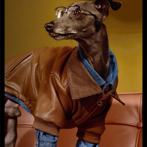 Stylish Brown PU Leather Lightweight Dog Winter Jacket Thick <b>Padded</b> Decorative Coat with D-Ring for Easy <b>Walking</b> - Product Image 2