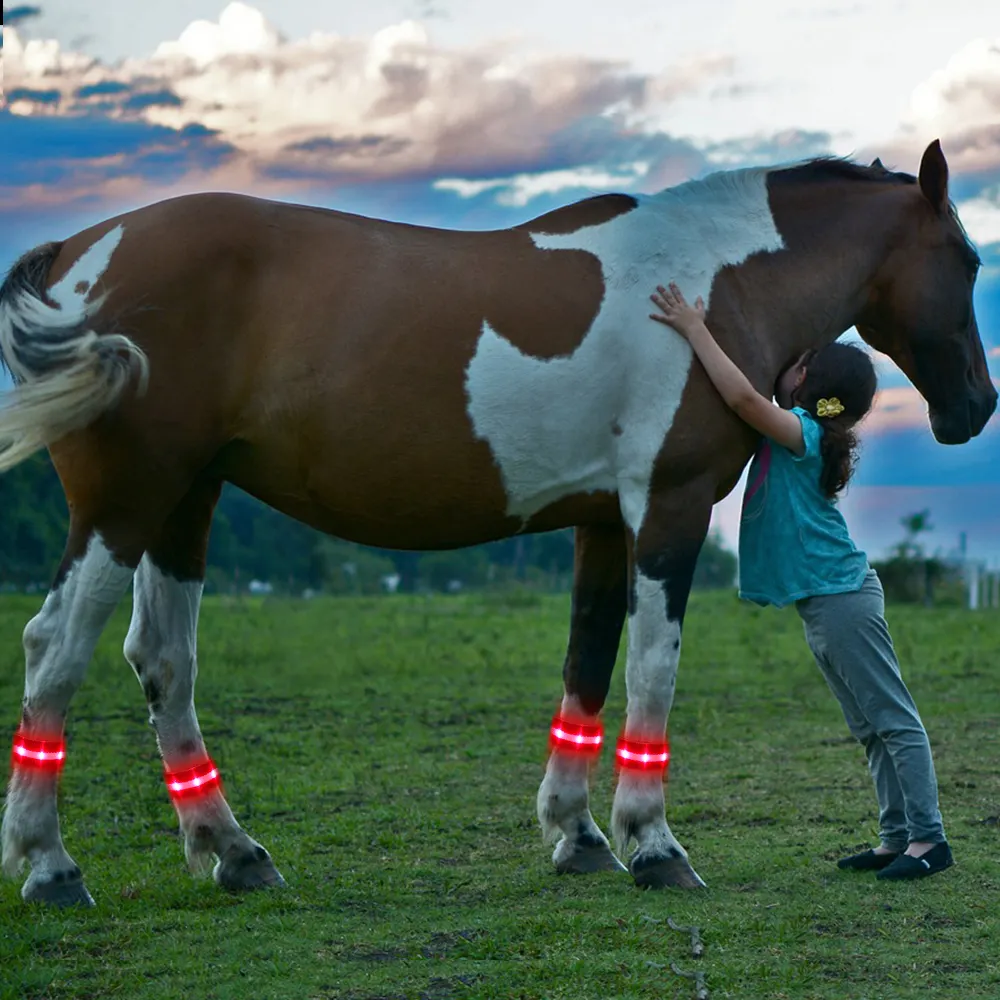Hewan Peliharaan Supplier Baru Kuda Produk Lampu LED Berkedip Kuda Peralatan Kuda Leg Band