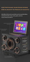 Offre Spéciale : Système Audio Karaoké Portable Professionnel Noir avec Haut-parleur Sans Fil pour une Expérience de Chant Ultime