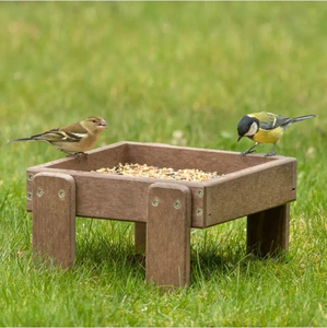 FSC Audited Outdoor <strong>Wild</strong> <strong>Bird</strong> House and Feeder, Wooden <strong>Bird</strong> Feeder on Grassland - Product Image 6
