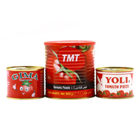 Pâte de tomate OEM, Ketchup concentré, Pâte de tomate commerciale de haute qualité, Sauce tomate pour pizza